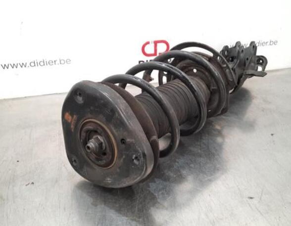 Shock Absorber FORD FOCUS IV (HN)