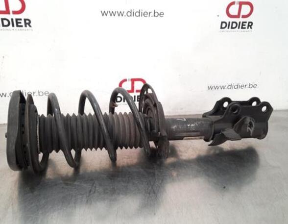 Shock Absorber FORD FOCUS IV (HN)