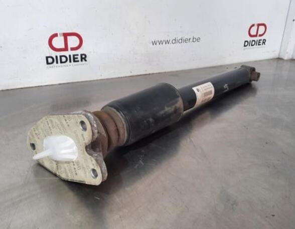 Shock Absorber BMW 3 (F30, F80)