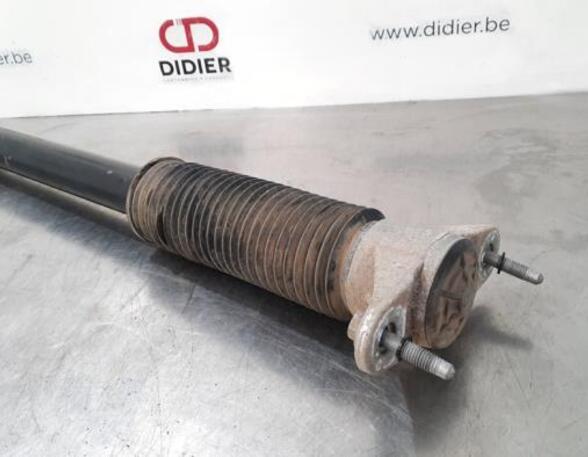 Shock Absorber TESLA MODEL 3 (5YJ3)