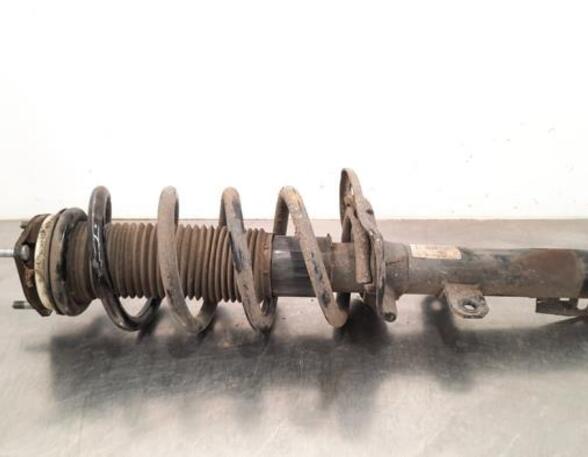 Shock Absorber FORD TRANSIT V363 Platform/Chassis (FED, FFD)