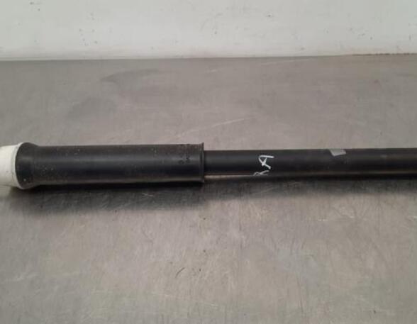 Shock Absorber RENAULT CLIO V (B7_)