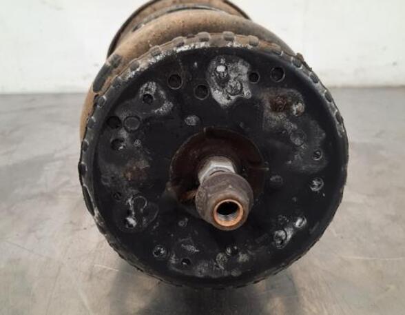 Shock Absorber RENAULT MASTER III Van (FV)