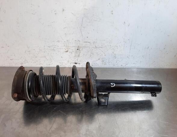 Shock Absorber VW TIGUAN (AD1, AX1), VW TIGUAN ALLSPACE (BW2)