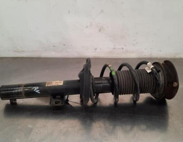 Shock Absorber VW POLO (AW1, BZ1)