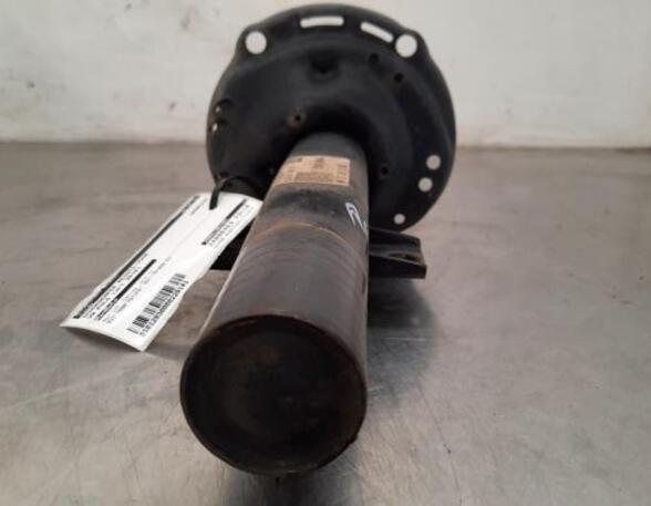 Shock Absorber VW POLO (AW1, BZ1)