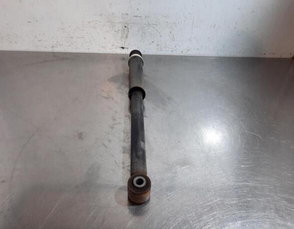 Shock Absorber RENAULT CLIO V (B7_)