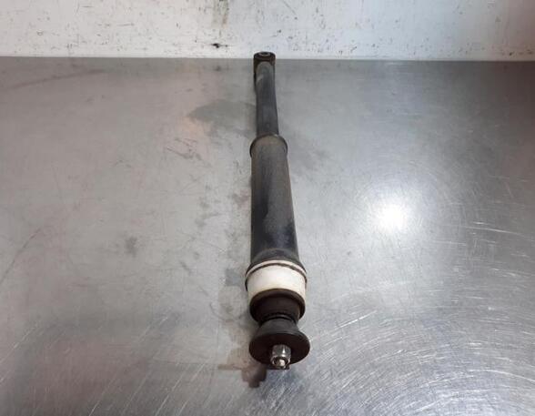 Shock Absorber RENAULT CLIO V (B7_)