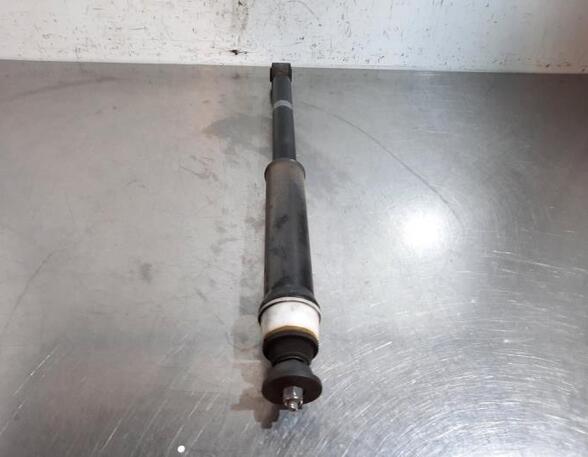 Shock Absorber RENAULT CLIO V (B7_)