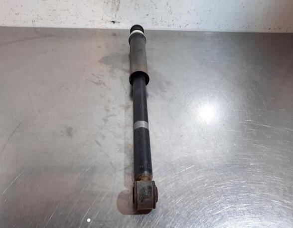 Shock Absorber RENAULT CLIO V (B7_)