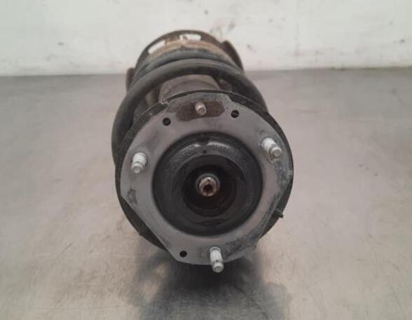 Shock Absorber FORD FIESTA VII (HJ, HF)