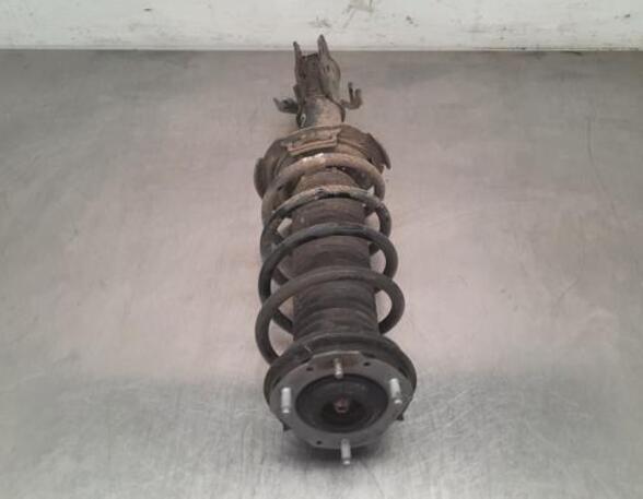 Shock Absorber FORD FIESTA VII (HJ, HF)