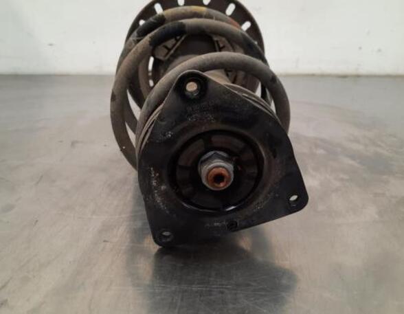 Shock Absorber OPEL CORSA F (P2JO)