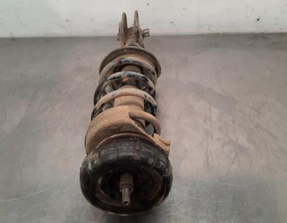 Shock Absorber OPEL VIVARO B Bus (X82), OPEL VIVARO B Van (X82), RENAULT TRAFIC III Van (FG_)