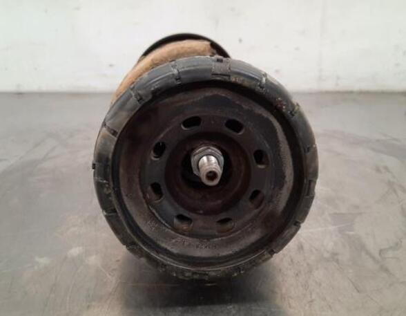 Shock Absorber OPEL VIVARO B Bus (X82), OPEL VIVARO B Van (X82), RENAULT TRAFIC III Van (FG_)