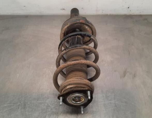 Shock Absorber FORD TRANSIT CUSTOM V362 Van (FY, FZ)