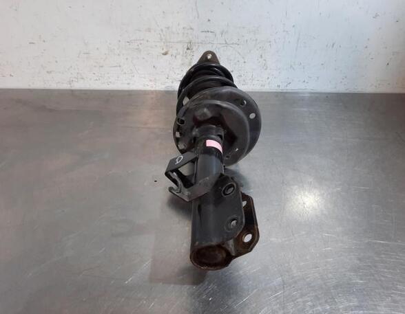 Shock Absorber RENAULT TWINGO III (BCM_, BCA_)