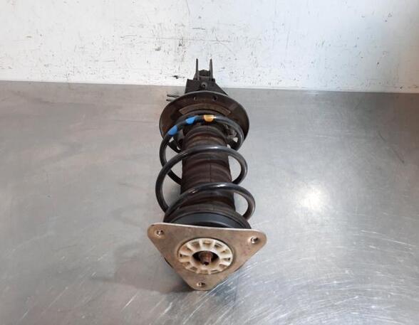 Shock Absorber RENAULT TWINGO III (BCM_, BCA_)