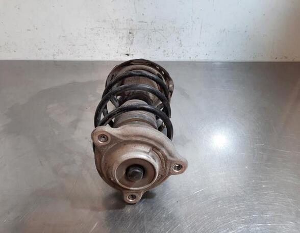 Shock Absorber MERCEDES-BENZ B-CLASS (W247)