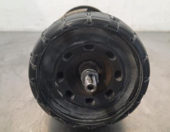 Shock Absorber RENAULT TRAFIC III Van (FG_)