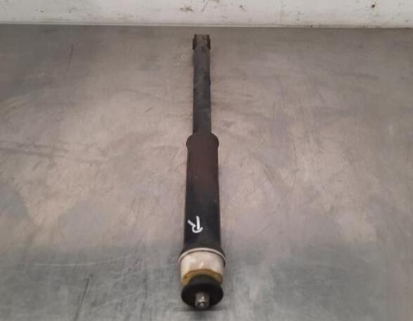 Shock Absorber RENAULT CLIO V (B7_)