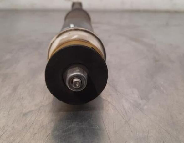 Shock Absorber RENAULT CLIO V (B7_)