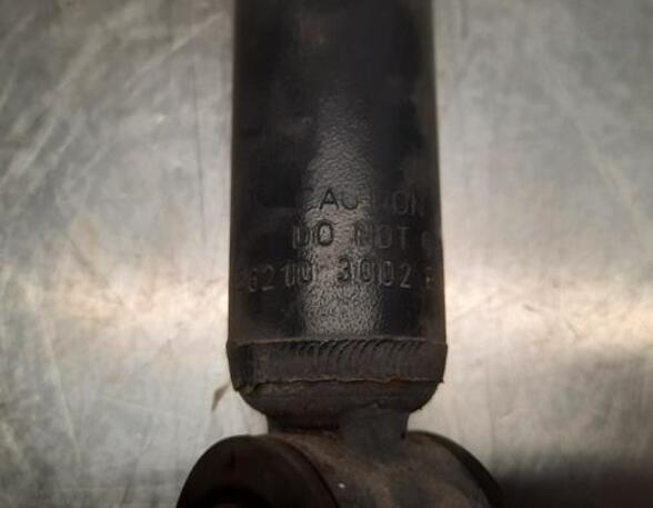 Shock Absorber RENAULT CLIO V (B7_)