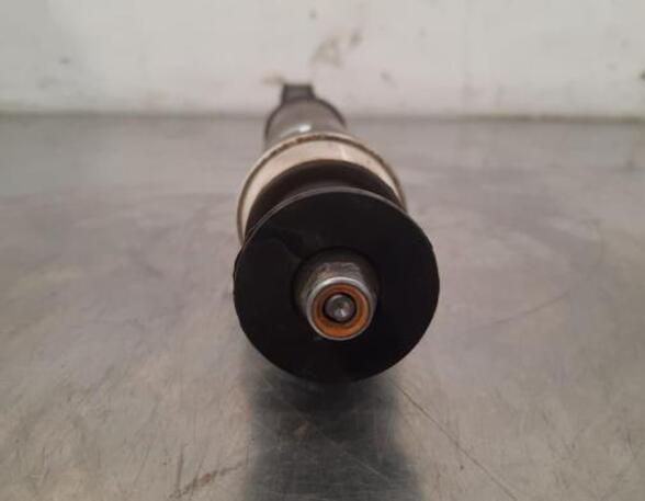 Shock Absorber RENAULT CLIO V (B7_)