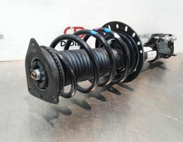 Shock Absorber DS DS 3 / DS 3 CROSSBACK (UR_, UC_, UJ_)