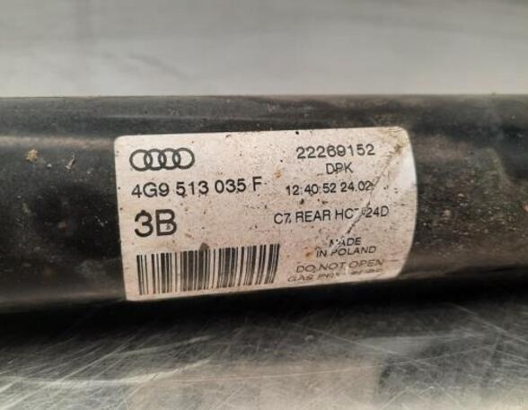 Shock Absorber AUDI A6 Avant (4G5, 4GD, C7)