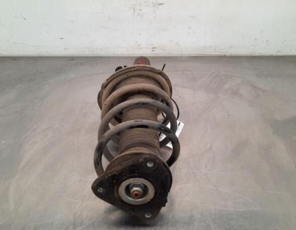 Shock Absorber FORD C-MAX II (DXA/CB7, DXA/CEU), FORD GRAND C-MAX (DXA/CB7, DXA/CEU)