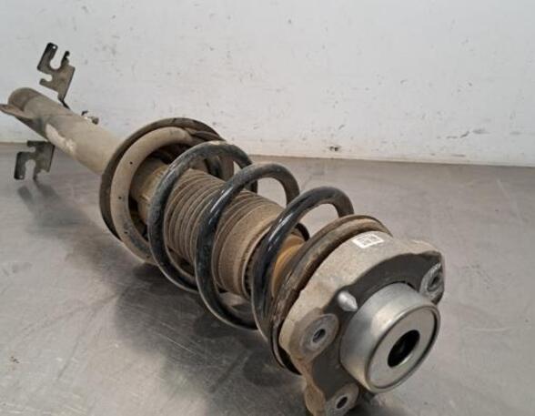 Shock Absorber PEUGEOT BOXER Van, OPEL MOVANO C Van (U9), CITROËN JUMPER Van, FIAT DUCATO Van (250_, 290_)