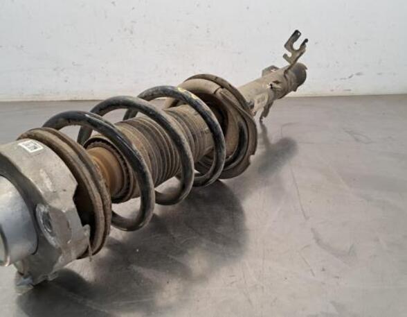 Shock Absorber PEUGEOT BOXER Van, OPEL MOVANO C Van (U9), CITROËN JUMPER Van, FIAT DUCATO Van (250_, 290_)