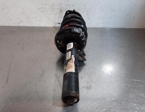 Shock Absorber VW TIGUAN (5N_)