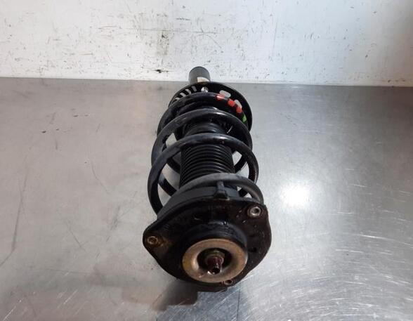 Shock Absorber VW TIGUAN (5N_)