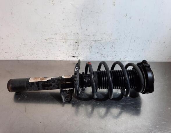 Shock Absorber VW TIGUAN (5N_)