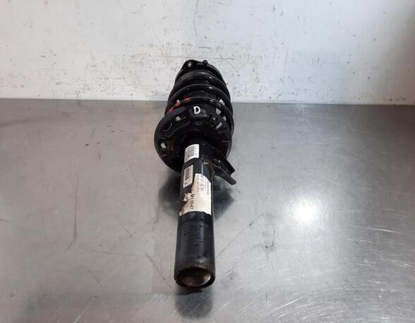 Shock Absorber VW TIGUAN (5N_)