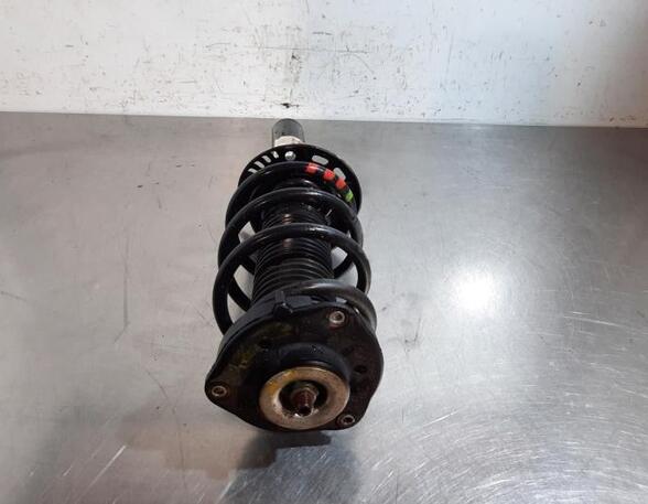 Shock Absorber VW TIGUAN (5N_)