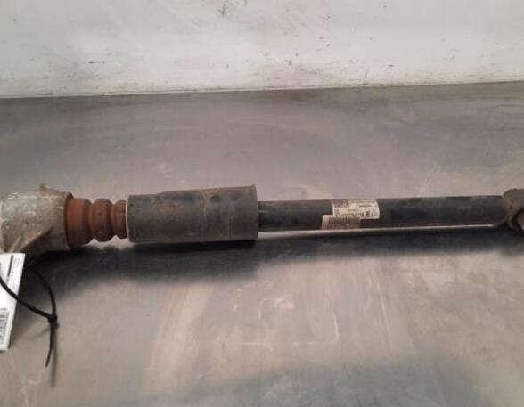 Shock Absorber AUDI A4 Avant (8W5, 8WD, B9)