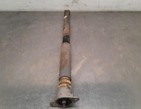 Shock Absorber FORD KA+ (UK, FK)