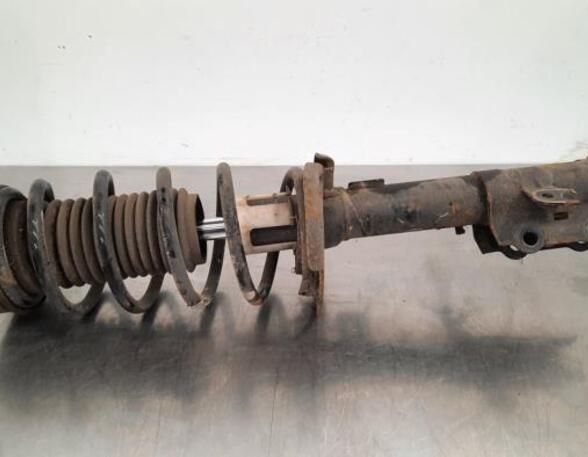 Shock Absorber FORD KA+ (UK, FK)