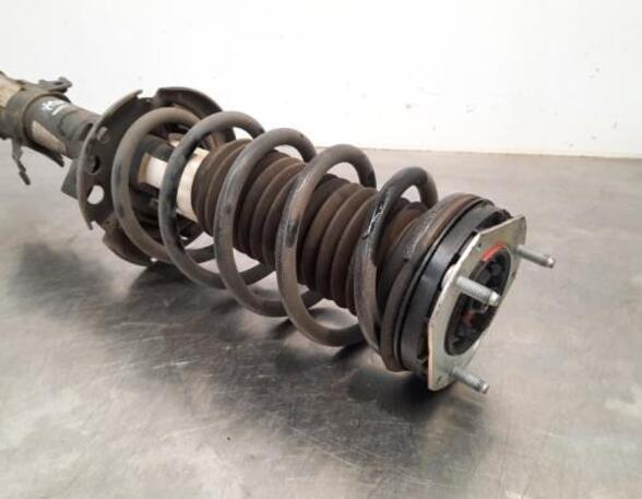 Shock Absorber FORD KA+ (UK, FK)