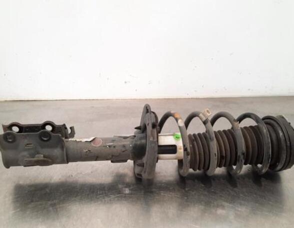 Shock Absorber FORD KA+ (UK, FK)