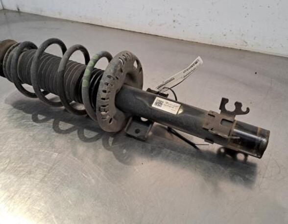 Shock Absorber SKODA FABIA III (NJ3)