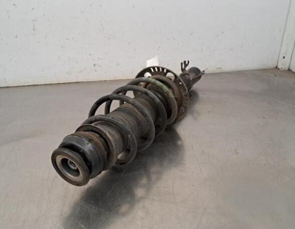 Shock Absorber SKODA FABIA III (NJ3)