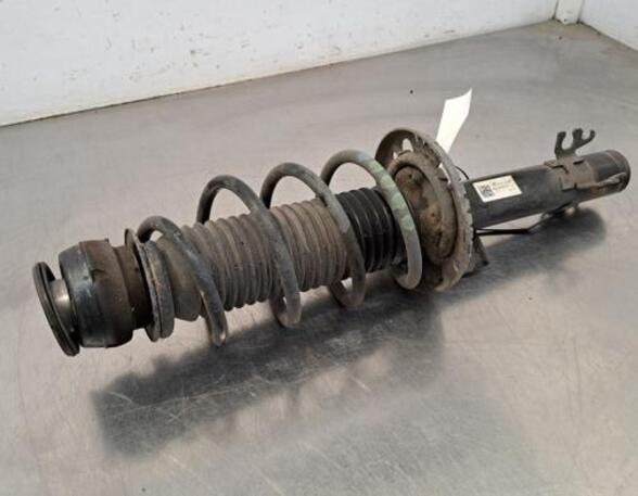 Shock Absorber SKODA FABIA III (NJ3)