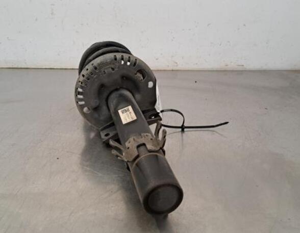 Shock Absorber SKODA FABIA III (NJ3)