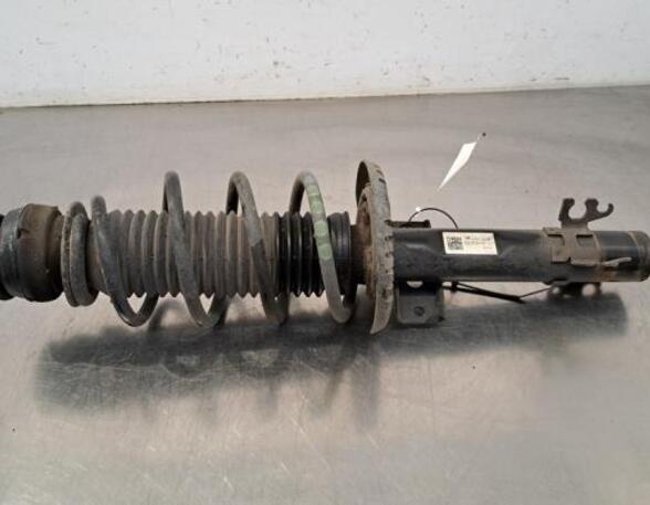 Shock Absorber SKODA FABIA III (NJ3)