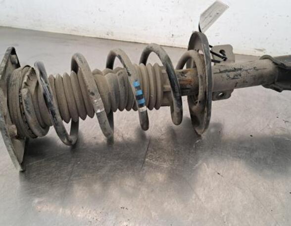 Shock Absorber CITROËN JUMPY III Van (V_)