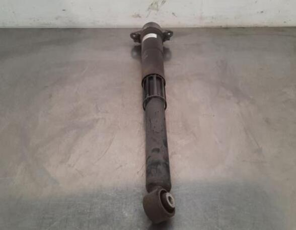 Shock Absorber VW GOLF VIII Variant (CG5), VW GOLF VIII (CD1)